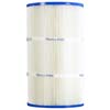 Pleatco Cartridge Filter PFW60 Fox Wall-Pak 80  F3-0880-2