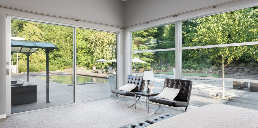 backyard view through window