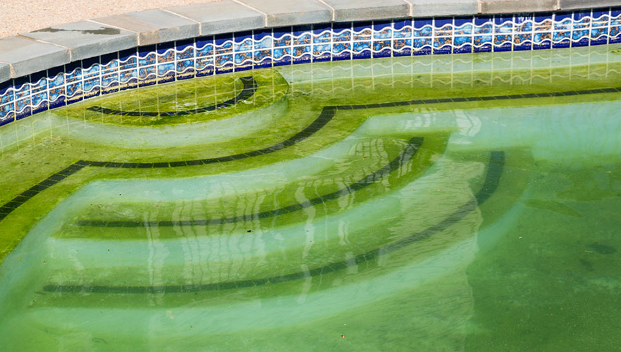 dirty pool focus on steps
