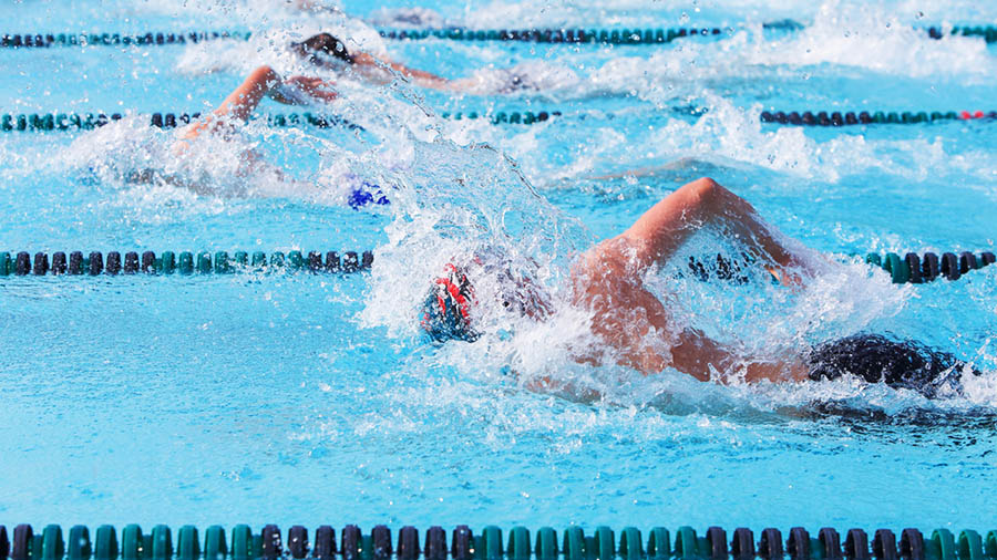freestyle swimmers