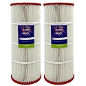 Clorox Silver Advanced Pool Filtration Replacement Cartridge for Predator Clean & Clear, 100sq ft - 2 pack