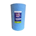 Clorox Platinum Premium Pool Filtration Replacement for Predator Clean & Clear 100 R173215 PAP100-4 FC-0686 C-9410
