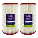 Clorox Silver Advanced Pool Filtration Replacement Cartridge for Predator Clean & Clear, 75sq ft - 2 pack