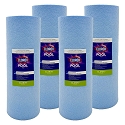Clorox Platinum Premium 4 Pack Pool Filtration Replacement for Sta-Rite TX 100 WC108-58S2X PSR100-4 FC-2550 UHD-SR100