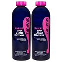 SpaPure Stain & Scale Preventer 1pt 2 Pack