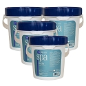 ProTeam Spa Di-Chlor 4 x 4lb