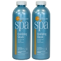 ProTeam Spa Oxidizing Shock 2 x 2 lb