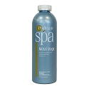 ProTeam Spa Metal Magic 1 qt