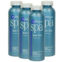 ProTeam Brom Start, Creates Bromide Reserve in your Spa, Eliminates Down Time, 1 pt - 4 pk