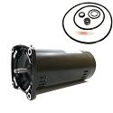 Puri Tech Replacement Motor Kit for Sta-Rite Max-E-Glas II 1HP P4EA6E-150L, AO Smith Century USQ1102 with GO-KIT-38