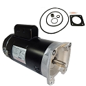 Puri Tech Replacement Kit for Sta-Rite Max-E-Glas 2.5HP PEAA5G-122L, A.O. Smith Century USQ1252 with GO-KIT-6