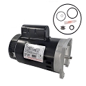 Puri Tech Replacement Kit for Sta-Rite SuperMax 1HP PHK2RA6E-102L AO Smith Century B2853 with GO-KIT-78