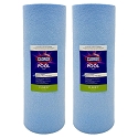 Clorox Platinum Premium 2 Pack Pool Filtration Replacement for Sta-Rite TX 100 WC108-58S2X PSR100-4 FC-2550 UHD-SR100