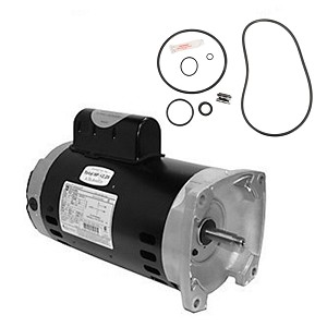 Puri Tech Replacement Motor Kit for Sta-Rite Max-E-Pro 2HP P6RA6G-207L, AO Smith Century USQ1202 with GO-KIT-79
