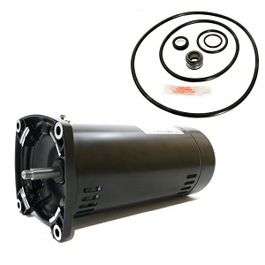 Puri Tech Replacement Motor Kit for Sta-Rite Dura-Glas II 1.5HP P4RA6F-187L AO Smith Century USQ1152 with GO-KIT-38