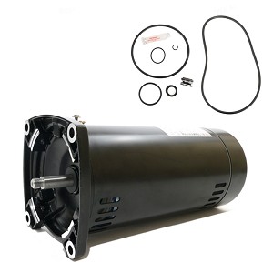 Puri Tech Replacement Motor Kit for Sta-Rite Max-E-Pro 1HP P6R6E-206L AO Smith Century SQ1102 with GO-KIT-79