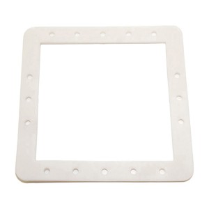 Hayward Standard Butterfly Gasket Replacement