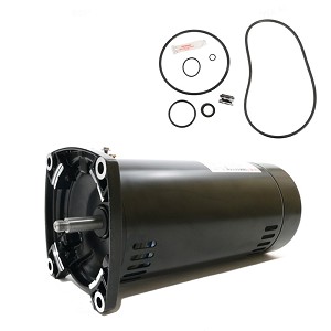 Puri Tech Replacement Motor Kit for Sta-Rite Max-E-Pro .75HP P6R6D-205L, AO Smith Century SQ1072 with GO-KIT-79