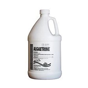 Applied Biochemists Black Algaetrine Algaecide 1 Gal