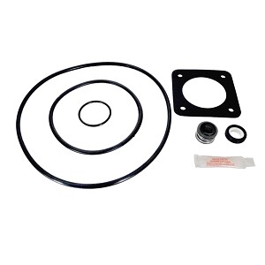 Sta-Rite DuraGlas & Max-e-Glas P2R & P2RA Series Replacement, 1998 to Present - GO-KIT-54
