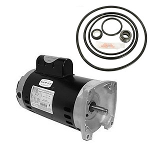 Puri Tech Replacement Motor Kit for Sta-Rite Dyna-Glas 2HP MPRA6G-155L, AO Smith USQ1202 with GO-KIT-47