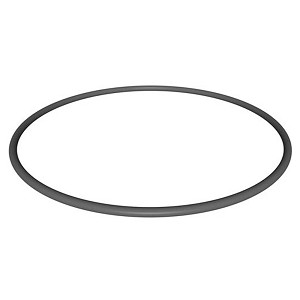 Hayward Star-Clear Plus Filter Head O-Ring