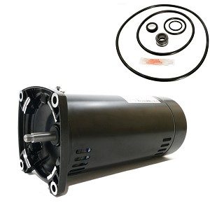 Puri Tech Replacement Motor Kit for Sta-Rite Max-E-Glas II 1.5 hp P4EA6F-151L, A.O. Smith Century USQ1152 with GO-KIT-38