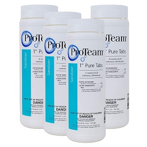 ProTeam 1 inch Pure Tabs 2 lb 4 Pack