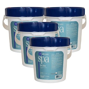 ProTeam Spa Di-Chlor 4 x 4lb